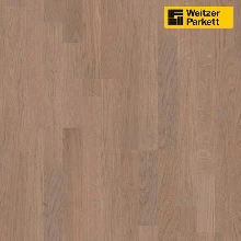 ДУБ УСТРИЦА