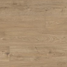 ДУБ СИЦИЛИЯ ПУРО