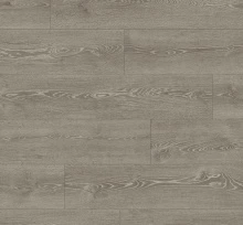 ДУБ УОЛТЕМ СЕРЫЙ