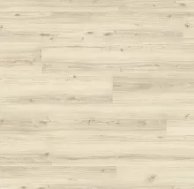 ДУБ ВЕСТЕРН СВЕТЛЫЙ