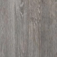 ДУБ ЕВРОПЕЙСКИЙ