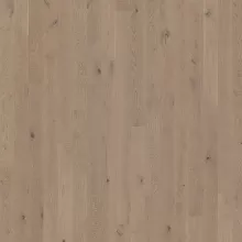 ДУБ ПРАТИКА