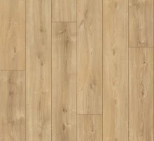 ДУБ НОВА БЕЛЕНЫЙ