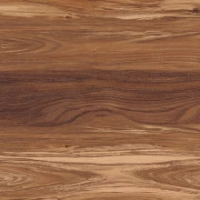 American Walnut