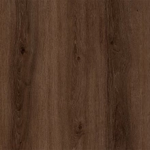 ДУБ КРАМЕЛЬНЫЙ