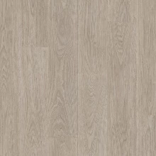 ДУБ ГОРНЫЙ СЕРЫЙ