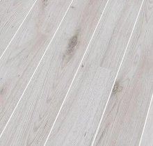 ДУБ МЕРИЛЕНД