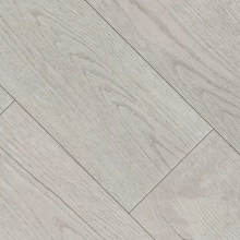 ДУБ СРЕДНЕВЕКОВЫЙ