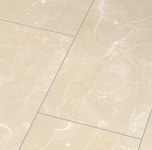 БОТИЧИНО СВЕТЛЫЙ