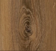 ДУБ МОНТАНА БЕЛЕНЫЙ