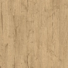 ДУБ АРАХИСОВЫЙ ПРОМАСЛЕННЫЙ