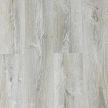 ДУБ БАРБЕРО