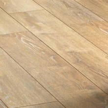 ДУБ БАЛЕАРСКИЙ