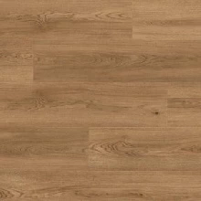 ДУБ МАНГРОВЫЙ