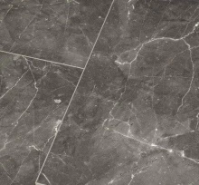 БОТИЧИНО ТЁМНЫЙ