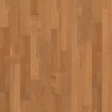 ВИШНЯ ЗИМА ЛИННЕЯ