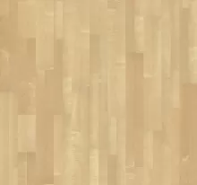 КЛЁН КАНАДСКИЙ ВЕСНА ЛИННЕЯ