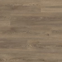 ДУБ КОЛУМБИЯ