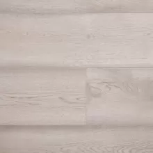 ДУБ ОХОТСКИЙ