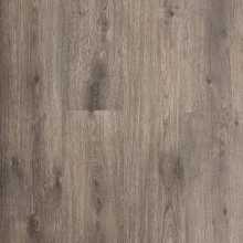 ДУБ ВИРДЖИНИЯ