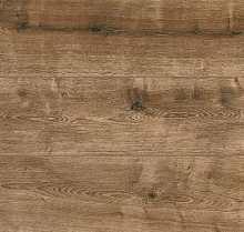 ДУБ ИМБИРНЫЙ