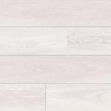 ДУБ МОНТЕВИДЕО