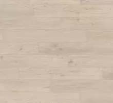 ДУБ СИЦИЛИЯ БЕЛЫЙ