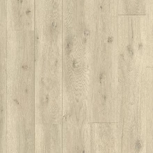 ДУБ СОВРЕМЕННЫЙ СЕРЫЙ