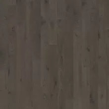 ДУБ НАЙТФОЛ