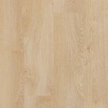 ДУБ ИЗВЕСТКОВЫЙ