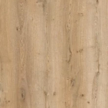 ДУБ ПЕЧОРСКИЙ