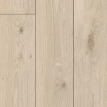 ДУБ БЕЗЦВЕТНЫЙ