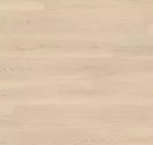 ДУБ БРУКЛИН БЕЛЫЙ