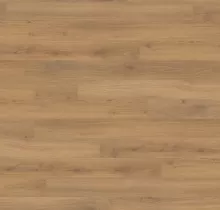 ДУБ ЭМИЛИЯ МЕДОВЫЙ