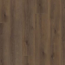 ДУБ КОНТУРА ДЫМЧАТЫЙ