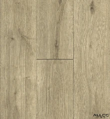 ДУБ МОРСКОЙ