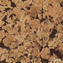 КОРИА МАРРОН