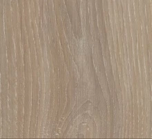 ДУБ СКАЙЛАЙН ЖЕМЧУЖНО-СЕРЫЙ