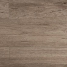 ДУБ ФУТУРИС