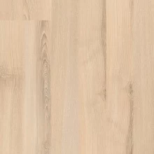 ЯСЕНЬ ТРОПИЧЕСКИЙ