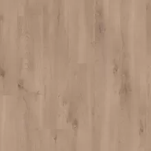 ЛОРИН СВЕТЛЫЙ