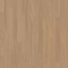 ДУБ БИСКВИТ