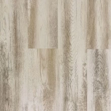 ДУБ ИОНИЙСКИЙ