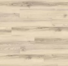 ДУБ АЛЬБЕРТА ПОЛЯРНЫЙ