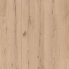 ДУБ ИСЛАНДИЯ