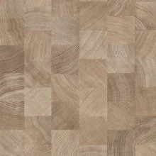 ТОРЕЦ ДУБА ОТБЕЛЕННЫЙ