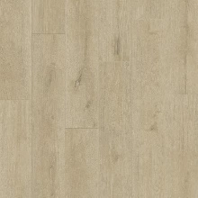 ДУБ СОВРЕМЕННЫЙ