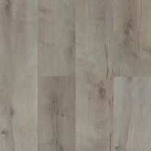 ДУБ СРЕДНЕВЕКОВЫЙ