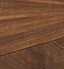 ОРМОЗИЯ (КУКУ)