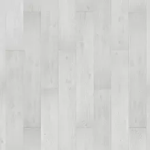 ДУБ ДАНВИЛЬ БЕЛЫЙ